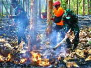 Latgab Penanggulangan Karhutla Digelar di Alas Ketu