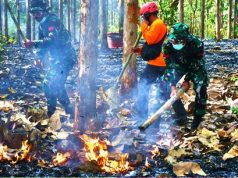 Latgab Penanggulangan Karhutla Digelar di Alas Ketu