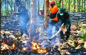 Latgab Penanggulangan Karhutla Digelar di Alas Ketu