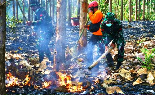 Latgab Penanggulangan Karhutla Digelar di Alas Ketu