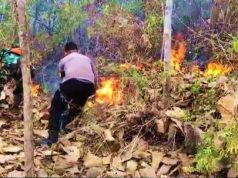 Hutan di Lereng Gunung Ngasem Terbakar