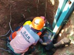 Berlangsung Menegangkan, Evakuasi Sapi Kecebur Sumur