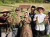 Bupati Kebumen Panen Raya Bawang Merah di Tlogowulung