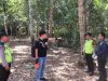 Warga Puring Tewas Terjatuh dari Pohon Kelapa