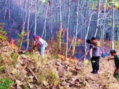 Respon Cepat Diberikan untuk Memadamkan Karhutla