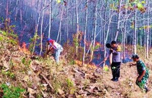 Respon Cepat Diberikan untuk Memadamkan Karhutla