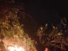 Petugas dan Warga Padamkan Kebakaran Hutan Pinus di Sadang