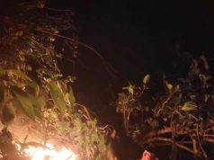 Petugas dan Warga Padamkan Kebakaran Hutan Pinus di Sadang