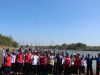 Sukarelawan PMI Kebumen Tanam Mangrove di Jogosimo
