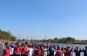 Sukarelawan PMI Kebumen Tanam Mangrove di Jogosimo