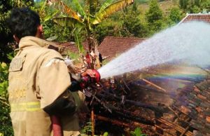 Gara-gara Api Bludukan, Kandang Sapi Ludes Terbakar