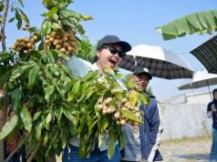 Agro Eduwisata Masjid Agung Semarang Diresmikan, Dorong Pengembangan Wisata Pertanian Kota Semarang