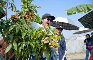Agro Eduwisata Masjid Agung Semarang Diresmikan, Dorong Pengembangan Wisata Pertanian Kota Semarang