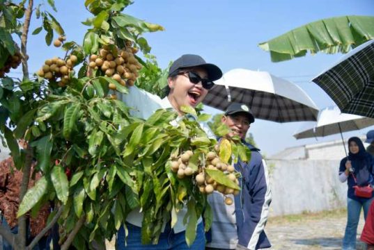Agro Eduwisata Masjid Agung Semarang Diresmikan, Dorong Pengembangan Wisata Pertanian Kota Semarang