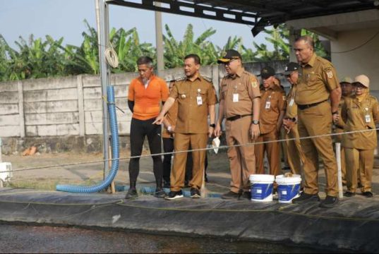 Lewat Teknologi ini, Tambak Udang Milik Pemprov Jateng Sukses Panen di Tengah Kawasan Industri