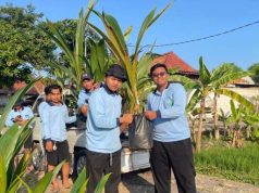 Peduli Lingkungan, Mahasiswa KKN UIN Walisongo Semarang Gelar Penanaman Tunas Kelapa