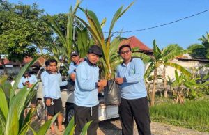 Peduli Lingkungan, Mahasiswa KKN UIN Walisongo Semarang Gelar Penanaman Tunas Kelapa