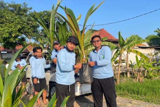 Peduli Lingkungan, Mahasiswa KKN UIN Walisongo Semarang Gelar Penanaman Tunas Kelapa