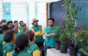 Bayer Indonesia Inovasi Insektisida Sistemik Ganda untuk Perkuat Produktivitas Hortikultura Nasional