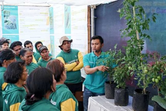 Bayer Indonesia Inovasi Insektisida Sistemik Ganda untuk Perkuat Produktivitas Hortikultura Nasional