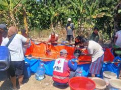 PMI Grobogan Tancap Gas Atasi Kekeringan, Distribusi Air Bersih Jangkau 19 Desa di Delapan Kecamatan