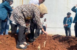 Lapas Semarang Perkuat Pembinaan Kemandirian WBP, Tanam 450 Bibit Herbal