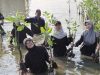 BEM USM dan Rotary Club Bimasena Tanam 1.000 Bibit Mangrove