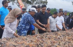 Terima Bantuan Rp9 Miliar, Karimunjawa Kembangkan Budidaya Rumput Laut hingga 200 Hektare
