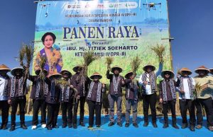 BULOG dan DPR RI Dorong Kesejahteraan Petani Klaten BULOG