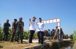 TMMD Kedungleper Tak Hanya Bangun Jalan, Tiga Rumah Warga Juga Direhab