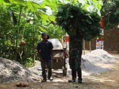 Anggota Satgas TMMD Purworejo Bantu Warga Angkut Rumput Pakan Ternak