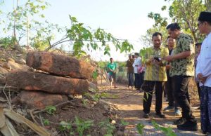 Bupati Jepara Tinjau Temuan Situs Bersejarah, Diduga Kuat Peninggalan Ratu Kalinyamat