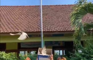Pelepasan Burung Merpati Warnai Pembukaan MPLS SDN 3 Tubanan