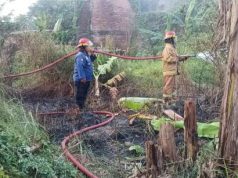 Warga Purwodadi Panik! Rumput Alang Alang Terbakar, Damkar Grobogan Bergerak Cepat Cegah Api Merembet