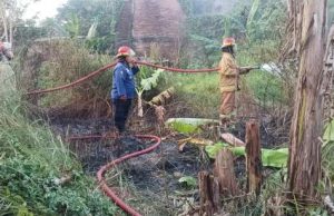 Warga Purwodadi Panik! Rumput Alang Alang Terbakar, Damkar Grobogan Bergerak Cepat Cegah Api Merembet