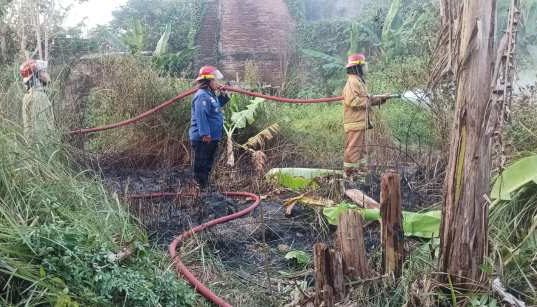 Warga Purwodadi Panik! Rumput Alang Alang Terbakar, Damkar Grobogan Bergerak Cepat Cegah Api Merembet